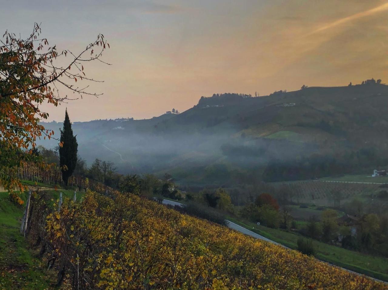 Panoramic Villa Garassino - Country Rooms And Fine Restaurant Treiso Luaran gambar