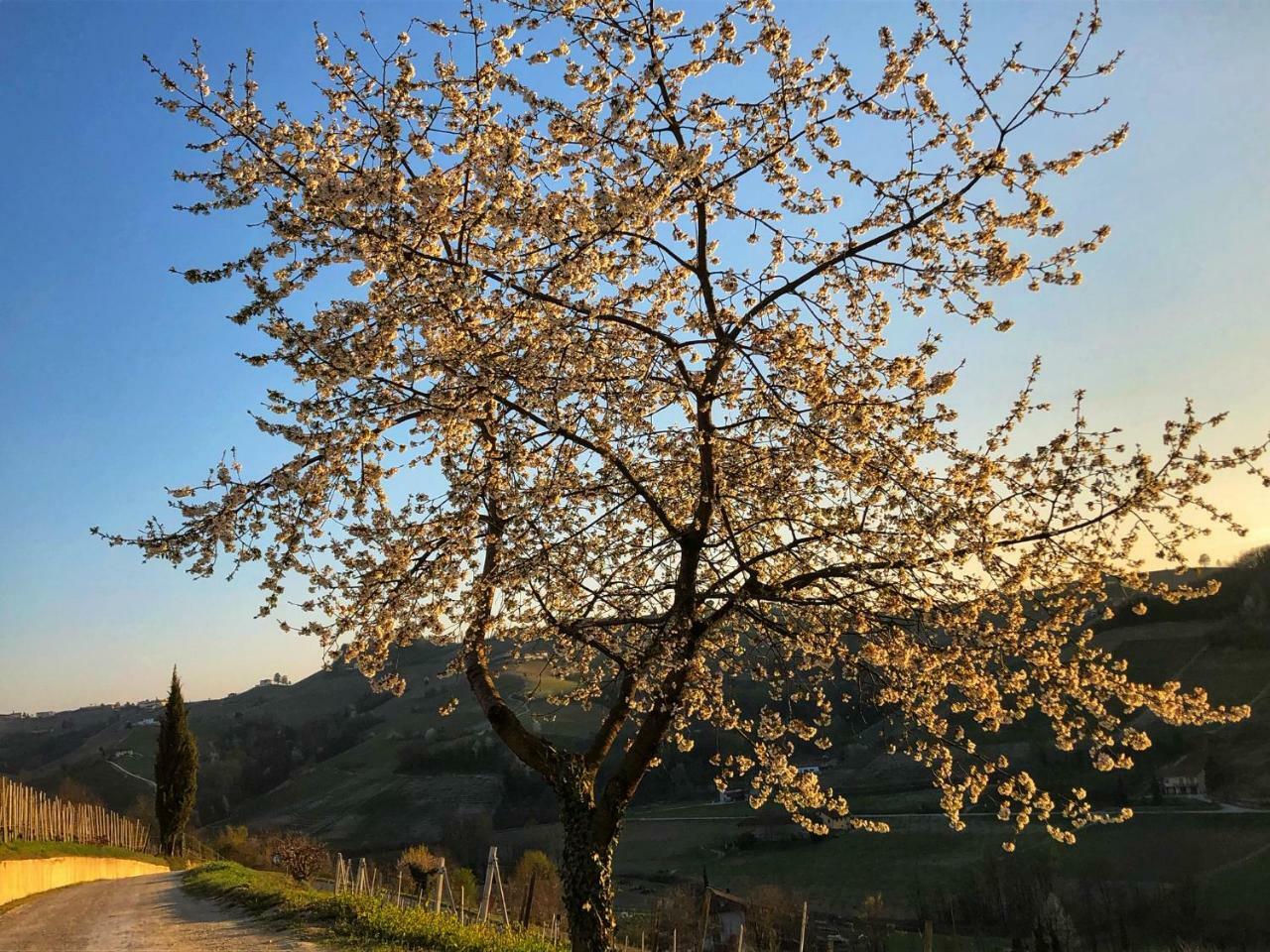 Panoramic Villa Garassino - Country Rooms And Fine Restaurant Treiso Luaran gambar